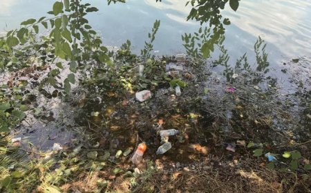 Adana'nın kalbindeki görüntü tepki çekti! Turistler gördüklerine inanamadı