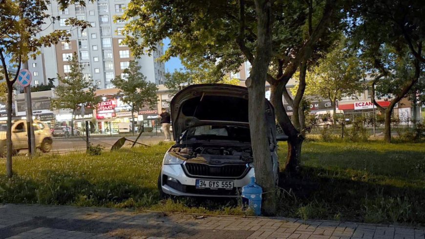 Sürücüsünün kontrolünü kaybettiği otomobil parka girdi