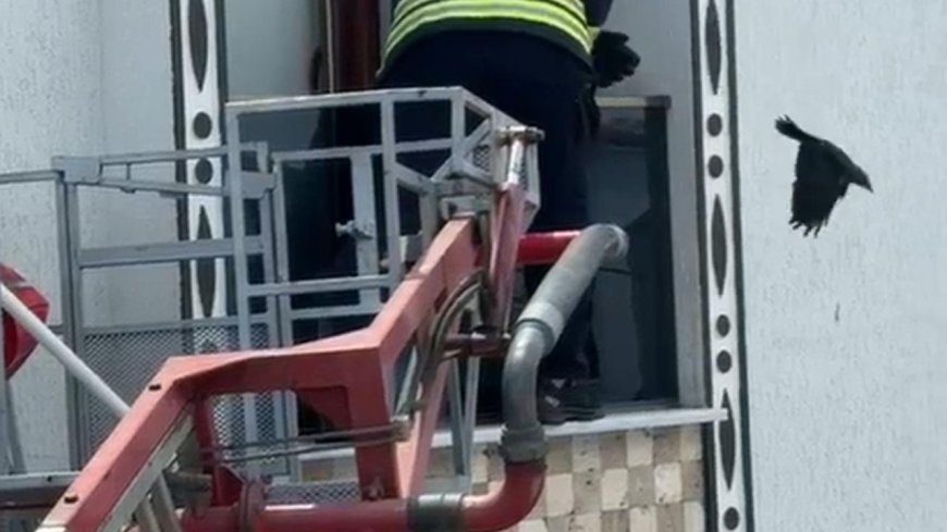 Balkonda sıkışan kargayı itfaiye kurtardı