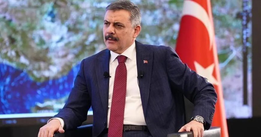 Bakan Çiftçi: Sahipsiz sokak hayvanlarının yüzde 83'ü toplandı