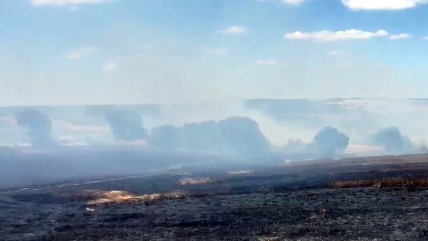 Tekirdağ’da yangın; 200 dekar buğday ekili alan zarar gördü