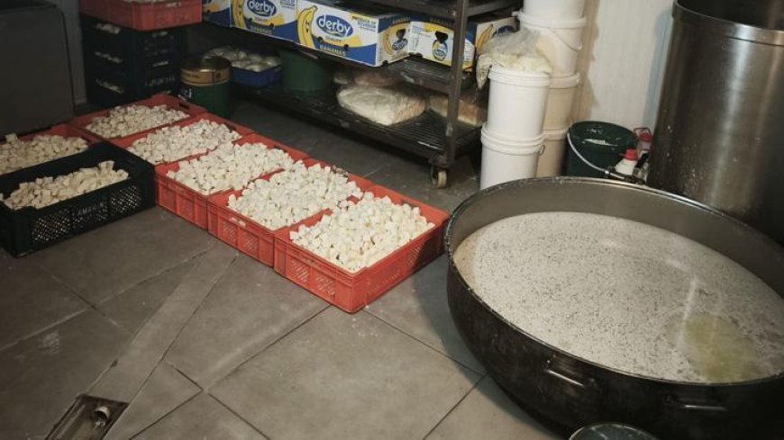 Başkentte 9 ton bozuk süt ve süt ürünü ele geçirildi