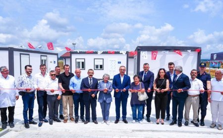 Tekirdağ Valisi Soytürk: Sokakta çok az hayvan kaldı