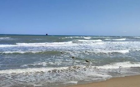 Karadeniz'deki 4 ilde yarın denize girilmesine izin verilmeyecek