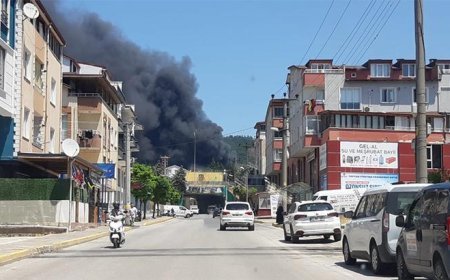 Kocaeli'de fabrika yangını! Siyah dumanlar gökyüzünü kapladı