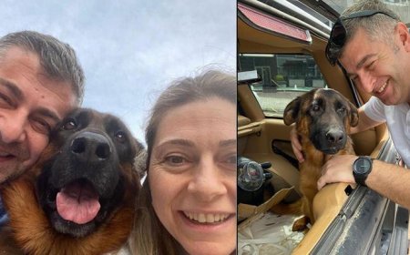'Santos' için 100 bin lira ödül: Aramadığımız, sormadığımız yer kalmadı