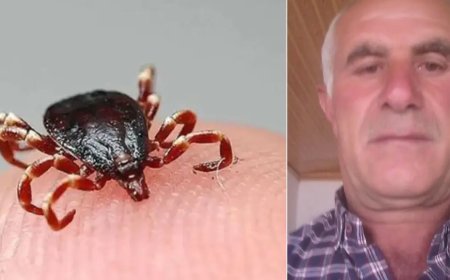 Vücuduna yapışan keneyi kendi çıkardı, 4 gün sonra öldü