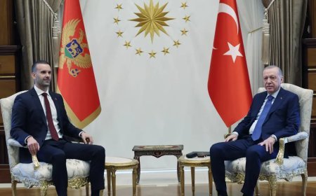 Cumhurbaşkanı Erdoğan'dan üç önemli görüşme