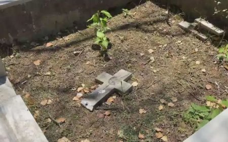 İstanbul'da Ermeni mezarlığına saldırı