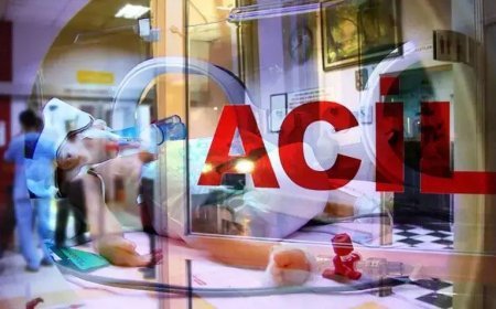 Yalova'da feci olay! Baba ile oğlu elektrik akımına kapılarak hayatını kaybetti