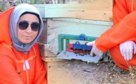 'Kanserin şifası' diyerek keşfetti: Şiparişlere yetişemedik, kendimize bile ayıramadık