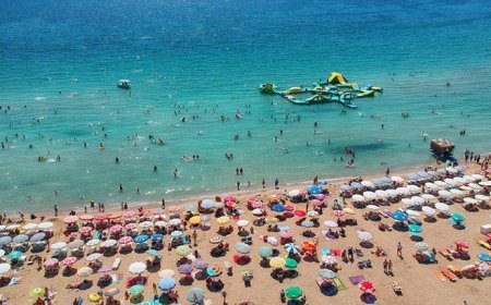 Tatilcilere kritik uyarı! Denizlerdeki sessiz tehlike: 'Hızla çoğalıyor'