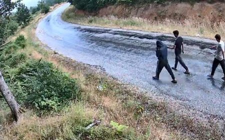 Jandarma açıkladı! Fotokapanlarla tespit edilen 1847 şüpheli hakkında işlem başlatıldı