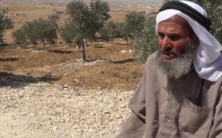 79 yaşında, gözyaşları içinde direniyor! 'Bu topraklarda öleceğim'