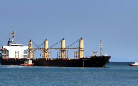 Tekirdağ açıklarında kuru yük gemisi karaya oturdu