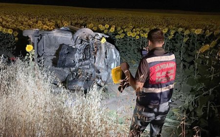 Ayçiçeği tarlasına devrilen otomobilde 5 kişi yaralandı