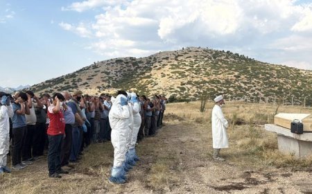 Kene tehlikesi bir can daha aldı! Cenazesinde alınan tedbirler dikkat çekti