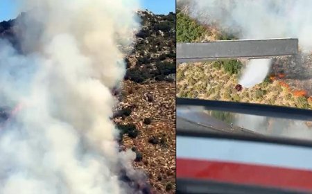 Antalya'da orman yangını! Havadan karadan müdahale