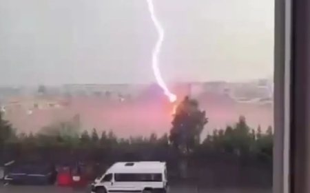 Tekirdağ'da palmiye ağacına yıldırım düştü, alev alev yandı