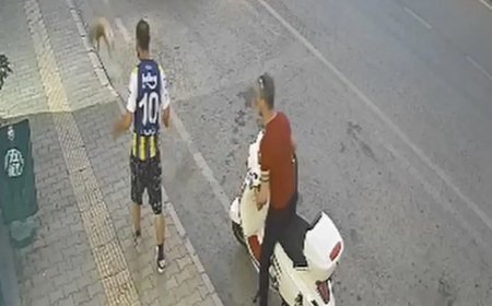 Görüntüler sosyal medyada gündem olmuştu: Kediyi tekmeleyen şüpheli tutuklandı