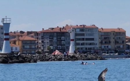 Tekirdağ açıklarında yunuslar görüntülendi