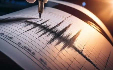 Meksika açıklarında 7,3 büyüklüğünde deprem! Tsunami uyarısı yapıldı