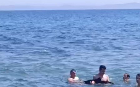 Tekirdağ'da yavru yunus yüzenlerin yanına geldi