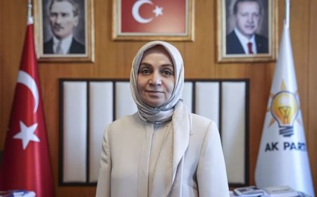 Terörsüz Türkiye süreci | Çerçeve yasa ne zaman gelecek? AK Partili Usta'dan açıklama
