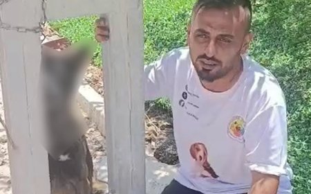 Sahipli köpeği zehirleyip direğe astılar