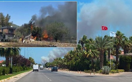 Aynı anda başladı! 3 ilde orman yangını: Havadan karadan müdahale