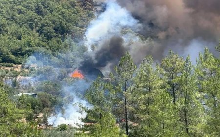 Muğla'da orman yangını. Bir mahalle tahliye edildi