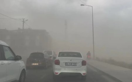 İstanbul'da fırtına. Ağaçlar devrildi, uçaklar kalkamadı