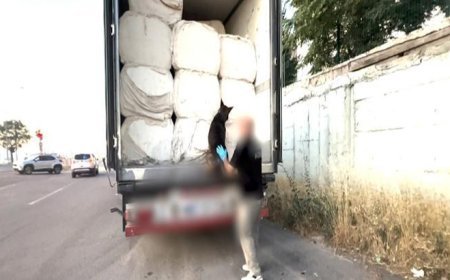 Tam 122 kilo uyuşturucu 'Mailo' tarafından bulundu