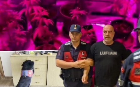Uyuşturucudan gözaltına alınan Ezel Akay'ın evinden görüntüler ortaya çıktı: Sistem bile kurmuş