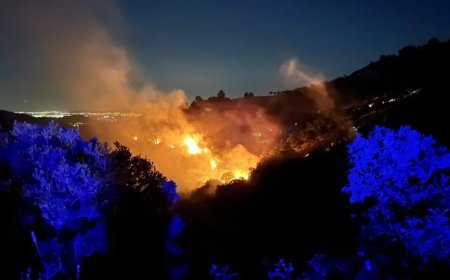 Birçok ilde orman yangını çıktı. İzmir'de alevlerle mücadele sürüyor