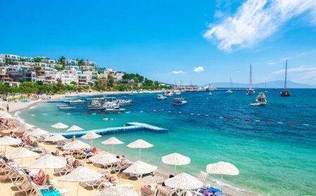 Yargıtay'dan işletmecileri ilgilendiren emsal karar. Plaja sokmayana hapis cezası