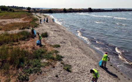 Tekirdağ'da kıyı temizliği etkinliği