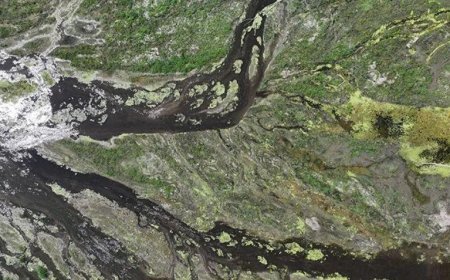 Tuna Nehri'nde tarihi kuraklık! Su seviyesi rekor düşük seviyeye indi