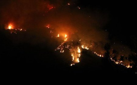 Kaş'taki orman yangınına ekiplerin karadan müdahalesi akşam saatlerinde de sürüyor