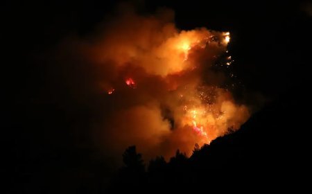 İzmir ve Antalya'da orman yangını. Gece olunca hava desteği durdu