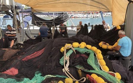 Tekirdağlı balıkçılar yeni sezondan umutlu: Palamut müjdesi aldık