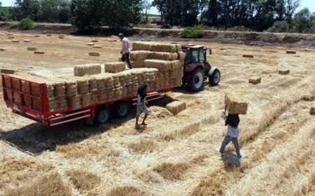 Tekirdağ'da balya bağlama ile açık alanda ateş yakılması yasaklandı