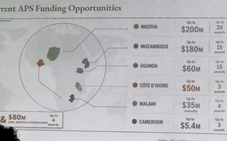 ABD'nin sunumunda Afrika skandalı! Harita kısa sürede viral oldu