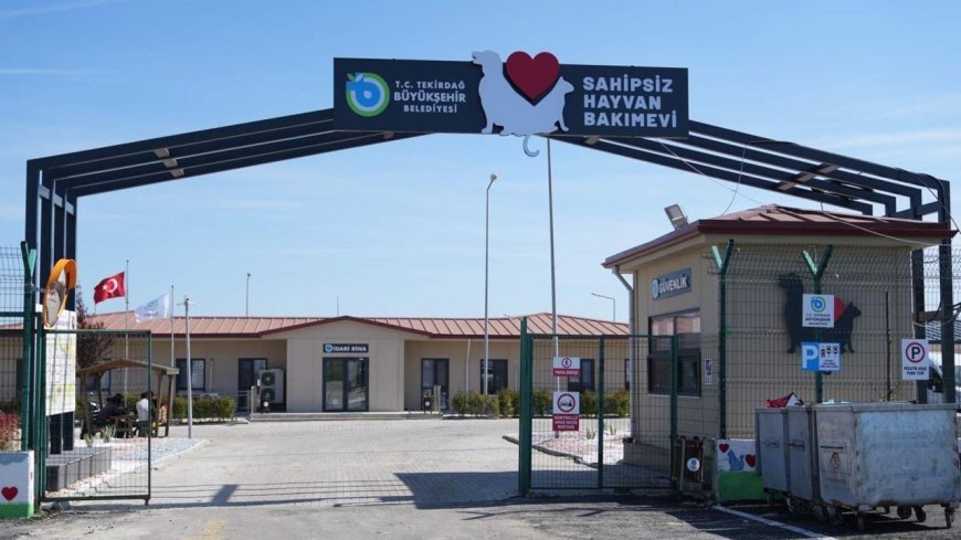 Tekirdağ'da sahipsiz 5 bini aşkın hayvana bakım ve tedavi uygulandı