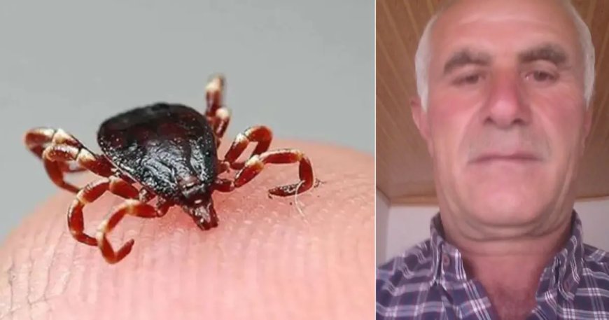 Vücuduna yapışan keneyi kendi çıkardı, 4 gün sonra öldü