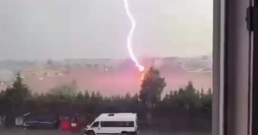 Tekirdağ'da palmiye ağacına yıldırım düştü, alev alev yandı