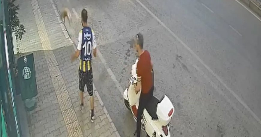 Görüntüler sosyal medyada gündem olmuştu: Kediyi tekmeleyen şüpheli tutuklandı