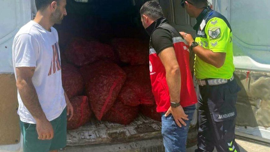 Malkara'da 700 kilo kaçak midye ele geçirildi