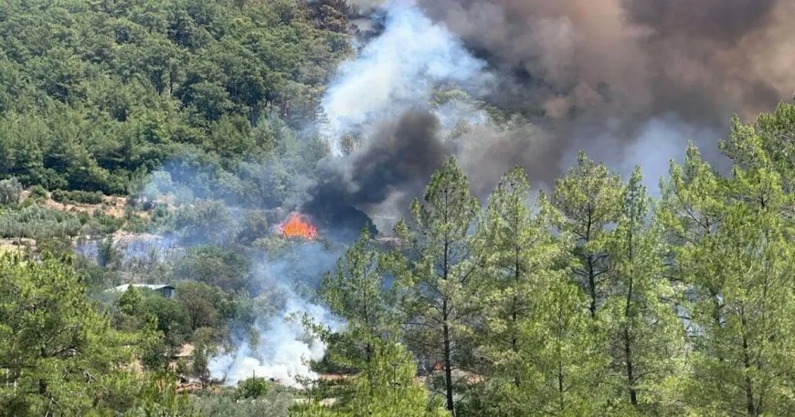 Muğla'da orman yangını. Bir mahalle tahliye edildi