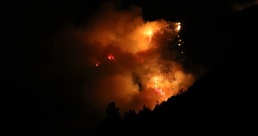 İzmir ve Antalya'da orman yangını. Gece olunca hava desteği durdu